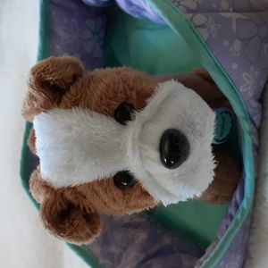 American Girl doll - "Meatball" dog & bed